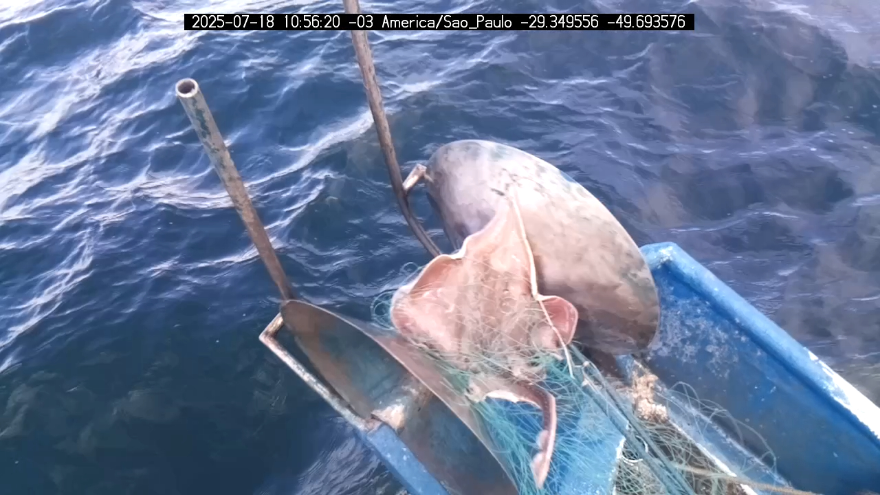 Frame bruto